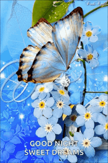 Butterfly Flower GIF - Butterfly Flower Waving GIFs