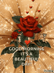 Good Morning Love And Miss You GIF - Good Morning Love And Miss You GIFs