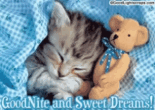 Kitty Good Night GIF - Kitty Good Night Good Nite GIFs