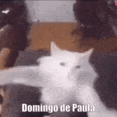 a white cat is laying on a couch with the words `` domingo de paula '' written on the bottom .