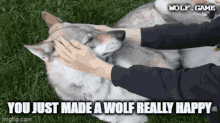 happy wolf wolfgame nftech wool woolish