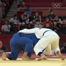 judo aaron wolf guham cho japan judo team south korean judo team