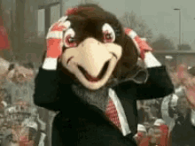 Bowling Green Falcons College Game Day GIF - Bowling Green Falcons College Game Day Football GIFs