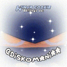 a picture of a ninja cookie with the words ninja cookie belongs to diskomania