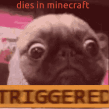 Dies In Minecraft Triggered GIF - Dies In Minecraft Triggered Dog GIFs