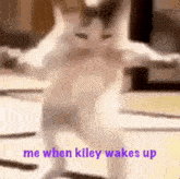 Kiley Pookums GIF - Kiley Pookums Me When Kiley Wakes Up GIFs