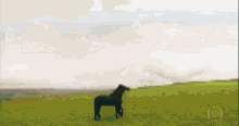 a man in a suit is standing next to a horse in a field .