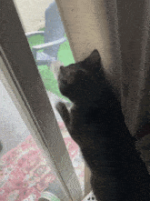 Let Me Out Lemeowt GIF - Let Me Out Lemeowt Cat Scratching Window GIFs