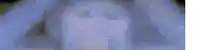 a close up of a person 's face with a blurry background