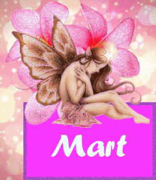 mart mart name name fairy sparkle