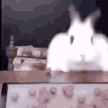 Bunny Fall GIF - Bunny Fall GIFs