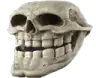 a close up of a skull with teeth and a mouth open .