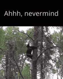 Ahhh Nevermind медведьупал GIF - Ahhh Nevermind медведьупал GIFs