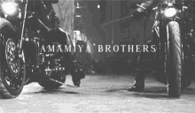 Amamiya Brothers GIF