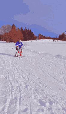 Ski Goalie GIF - Ski Goalie Capitals GIFs