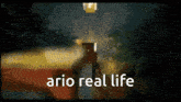 a pixelated image with the words ario real life written on it