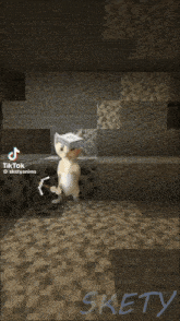 a tiktok video of a cat in a cave with the name skety