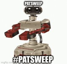 Patsweep Pat Sweep GIF - Patsweep Pat Sweep Pattou Rob GIFs