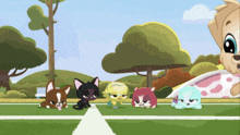 a group of cartoon animals are playing on a field