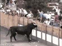 Bull Audience Attack GIF - Bull Angry Anger GIFs