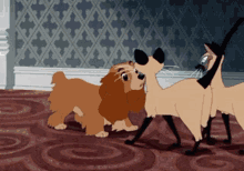 Lady And The Tramp Siamese Cat GIF - Lady And The Tramp Siamese Cat Siamese Cats GIFs