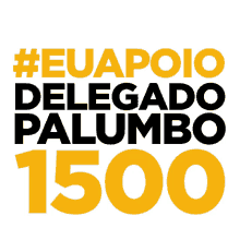 vote1500 palumbo