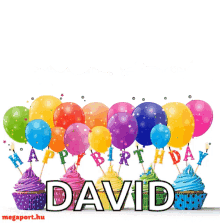 happy birthday david