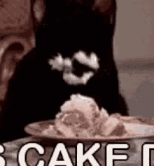 Cat Cake GIF - Cat Cake Eating GIFs