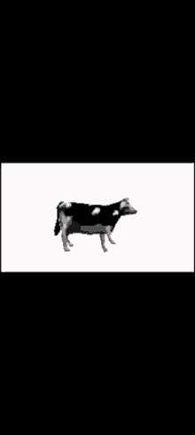 корова GIF - корова GIFs