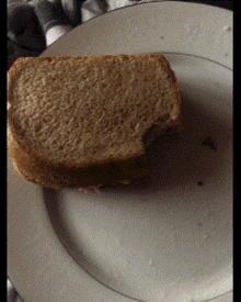 Bread Eating GIF - Bread Eating GIFs