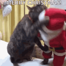 [Image: cat-fight-santa-fight.gif]