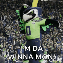Seattle Seahawks Mascot Go GIF