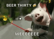Pigs Celebrate GIF - Pigs Celebrate Yay GIFs