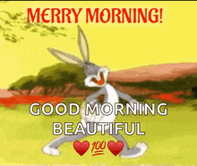 bugs bunny is saying merry morning good morning beautiful