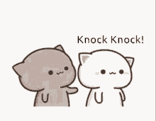 Knock Knock Kiss GIF - Knock Knock Kiss Sweet GIFs