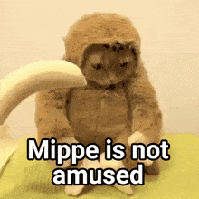 Mippe Mippe Is Not Amused GIF - Mippe Mippe Is Not Amused Amused GIFs