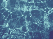 Pool Waterboy GIF - Pool Waterboy Water GIFs