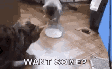 Want Some? GIF - Want Some Sharing Kindness GIFs