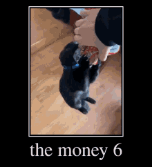 The Money Cat GIF - The Money Cat Bread GIFs