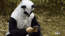 Texting Nat Geo Wild GIF - Texting Nat Geo Wild National Panda Day GIFs