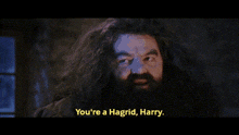 Hagrid Harry Potter GIF