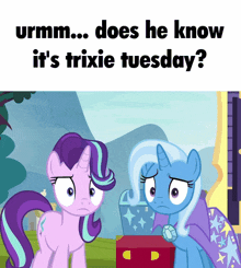 Trixie Trixie Tuesday GIF