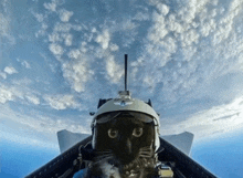 a black cat wearing a helmet is flying in a plane