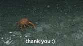 Crab Thank You GIF - Crab Thank You Thank You Gif GIFs