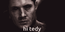hi teddy hi ted ted teddy hello ted