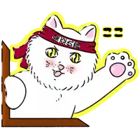 a white cat wearing a red headband with chinese characters