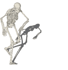 sayed skeleton