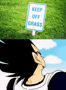 Keep Off Grass Vegeta GIF