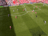 a soccer game is being played on a field with a shadow of emily the goat