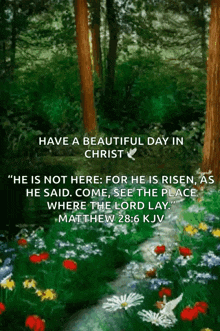 a painting of a forest with a quote from matthew 28: 6 kjv